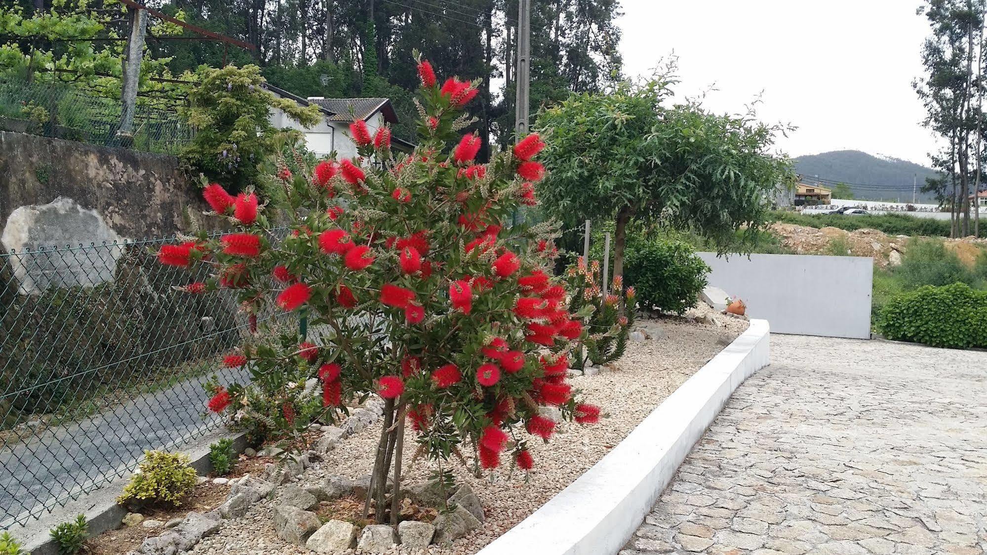 Casa Do Porto Carreiro Villa โอลิเวรา เด อาซิเมส ภายนอก รูปภาพ